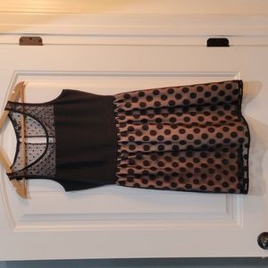 C.Luce Nude and Black Dress